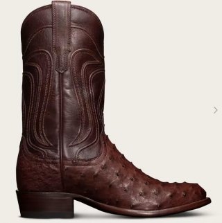 Tecovas Free Shipping Men's The Wyatt-Mahogany Ostrich